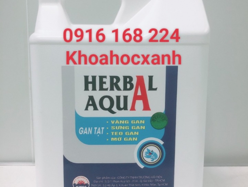 HERBAL AQUA – Gan tạt thảo dược