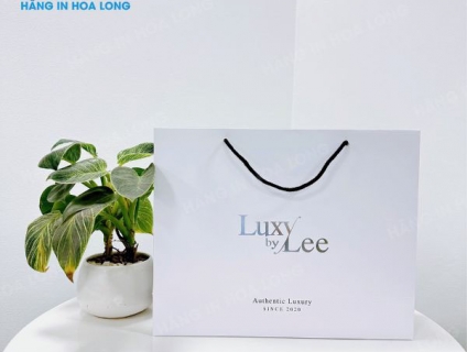 Những lợi ích khi in túi giấy giá rẻ Hà Nội tại xưởng in Hoa Long