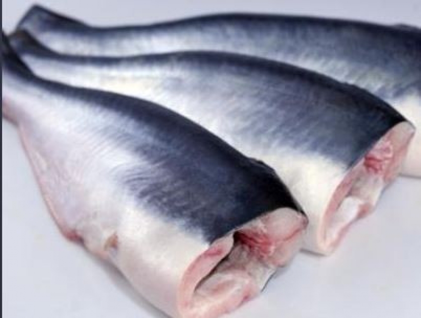 Cá Basa nguyên con đông lạnh