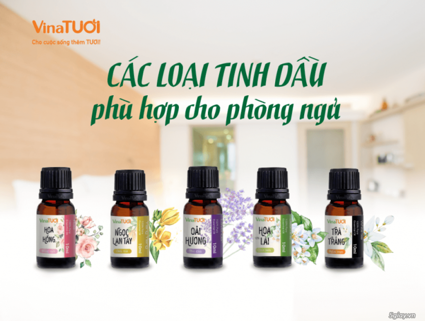 Tinh Dầu Thơm Phòng Ngủ – Bí Quyết Giúp Bạn Ngủ Ngon Hơn
