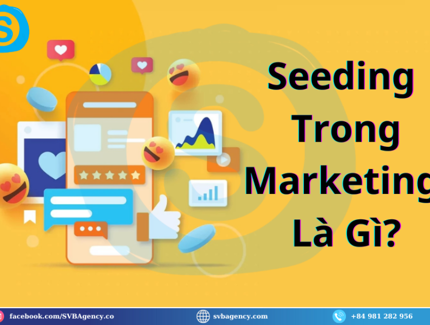 Điều Ít Biết Về Via Seeding Và Kỹ Thuật Seeding Trên Mạng Xã Hội