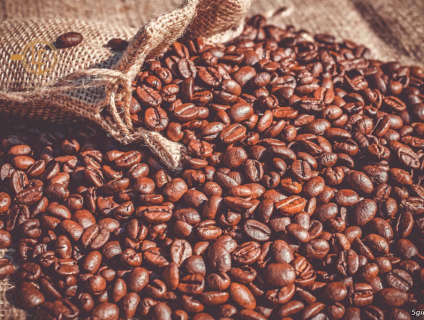 Cà phê Buôn Ma Thuột: Hạt vàng của đại ngàn Tây Nguyên