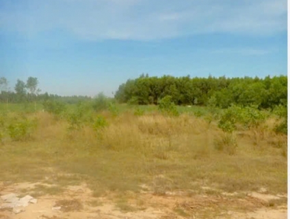 Bán lô đất đường xe hơi Quốc Lộ 55, Xã Tân Bình, La Gi, Bình Thuận