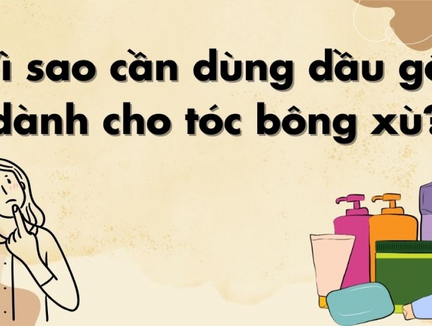 Dầu Gội Dành Cho Tóc Bông Xù Cách Chăm Sóc Hoàn Hảo Năm 2024