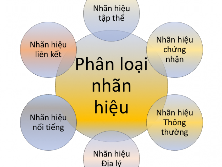 Đăng ký nhãn hiệu ở đâu? Báo giá chi phí đăng ký nhãn hiệu độc quyền 2024