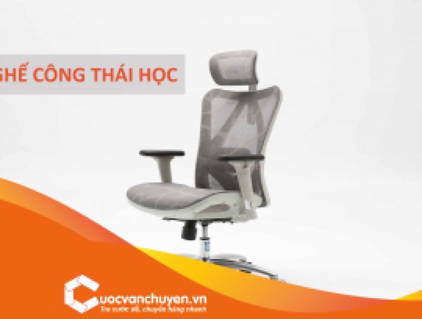 Thủ Tục Nhập Khẩu Ghế Công Thái Học