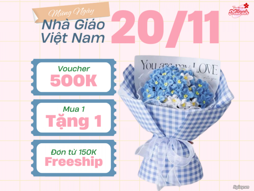 Hoa Cẩm Tú Cầu Kẽm Nhung – Ngày Nhà Giáo Việt Nam 20/11