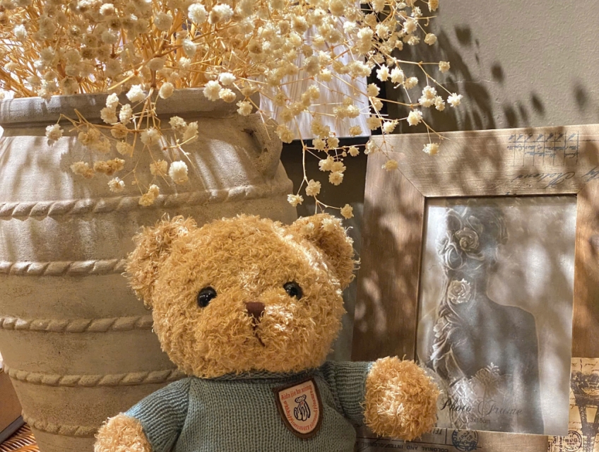 Gấu bông Teddy - người bạn đồng hành ấm áp cho mọi lứa tuổi