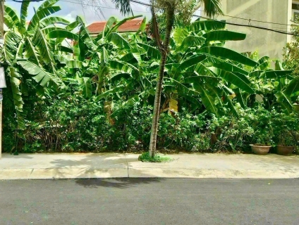 Bán gấp lô đất Xéo 496/63/42 Dương Quảng Hàm, P.6, Gò Vấp