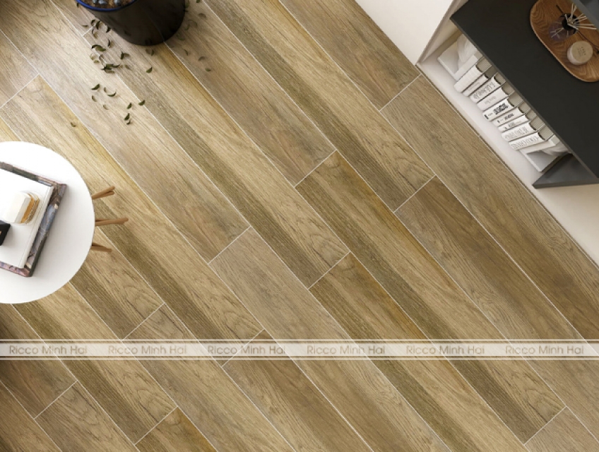 những mẫu gạch lát nền 20×120 phổ quát trên thị trường 2025