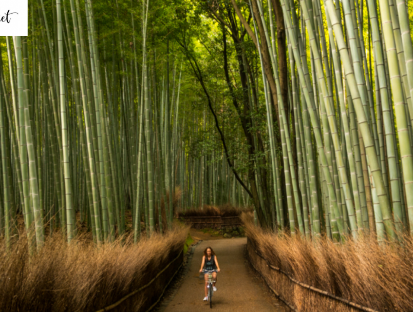 Những sản phẩm đồ tre thủ công mỹ nghệ từ tre phổ biến