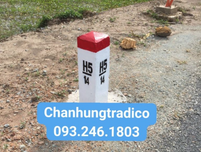 THI CÔNG TRỒNG CỌC H VÀ SƠN KẺ VẠCH ĐƯỜNG GIAO THÔNG NĂM 2024