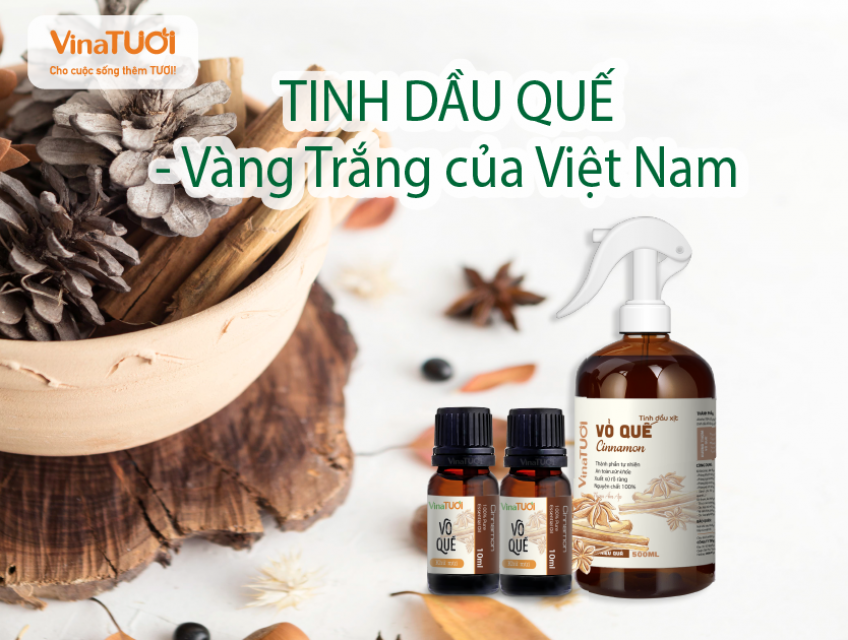 Tinh Dầu Quế Lau Sàn – Lựa Chọn Hoàn Hảo Cho Bệnh Viện