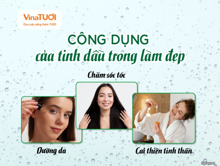 Tinh dầu làm đẹp: Công dụng và cách sử dụng hiệu quả