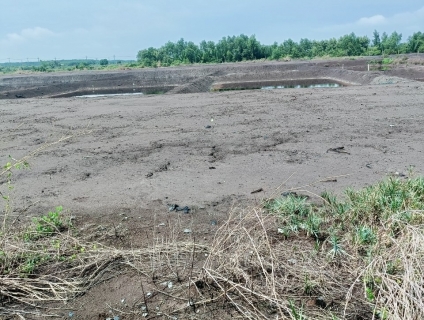 Cần Bán lô đất mặt tiền đường xương cá Lý Nhơn, Cần Giờ