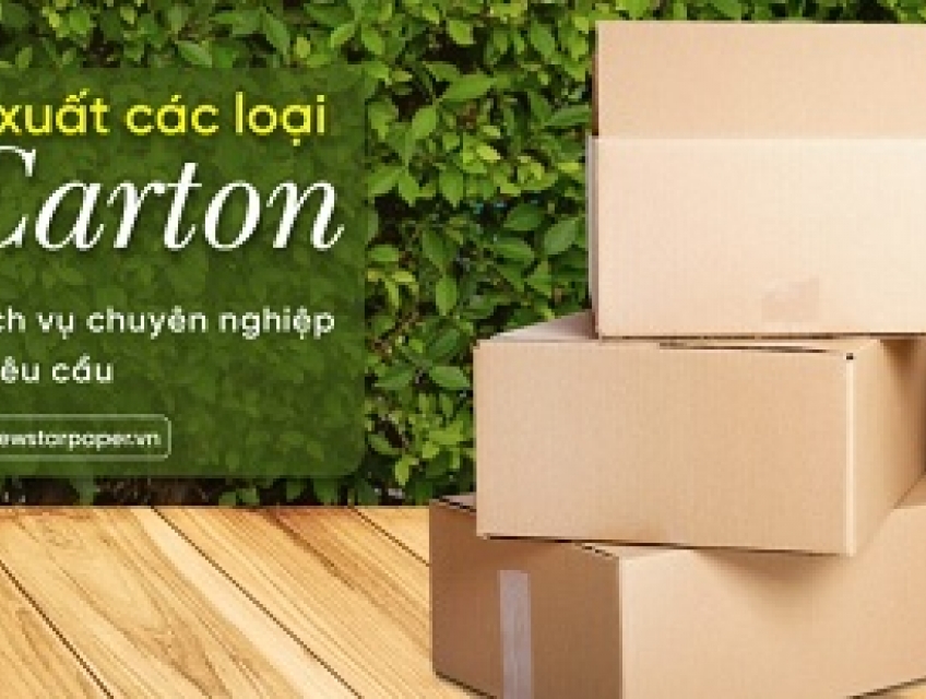 TOP 10 Công Ty Sản Xuất Thùng Carton Tại TPHCM Uy Tín