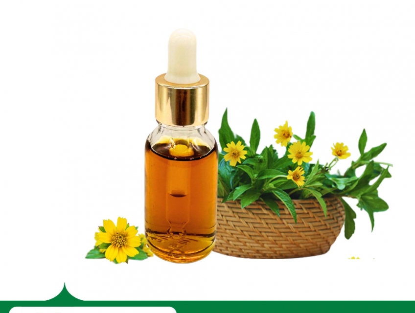 Chiết xuất sài đất Biogreen – Nguyên liệu mỹ phẩm trị mụn, kháng khuẩn