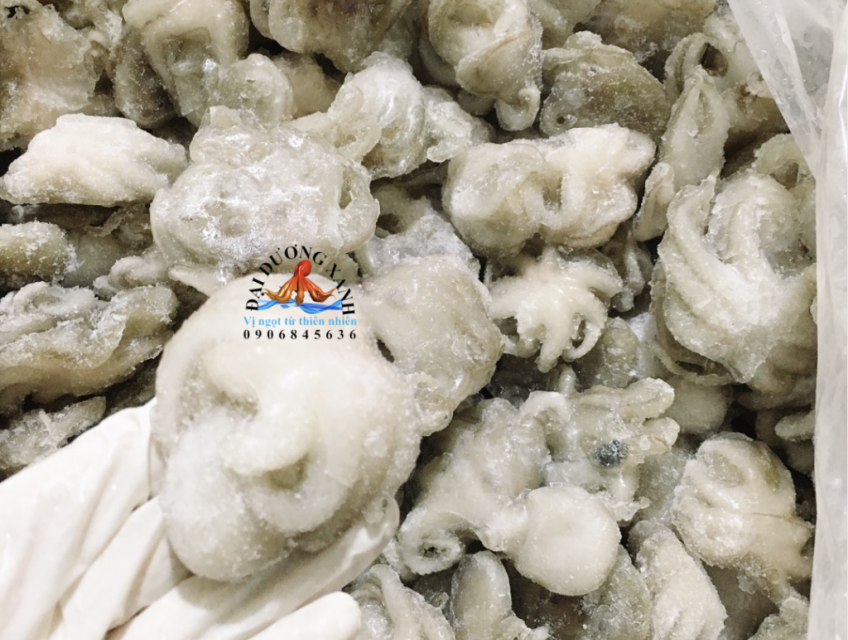 Giá Trị Dinh Dưỡng Bạch Tuộc Baby