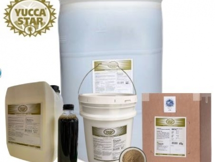 Mua bán yucca nguyên liệu dạng bột, dạng nước, Mỹ, Mexico giá cạnh tra