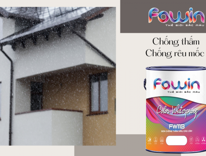 Sơn Fowin - sơn của mọi công trình Việt- công ty CP ĐT Tân Hoàng Ngọc