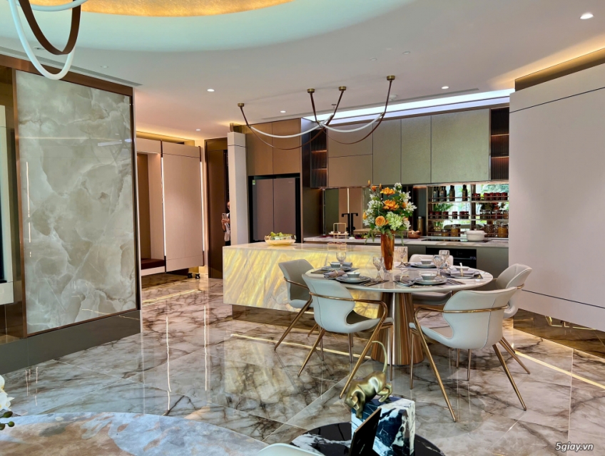 Mở Bán Đợt 1 Dự Án The Regency Phú Mỹ Hưng ở Hồ Bán Nguyệt, chỉ TT 20%