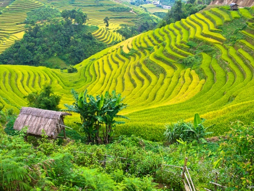 Tour Mai Châu 1 Ngày Từ Hà Nội