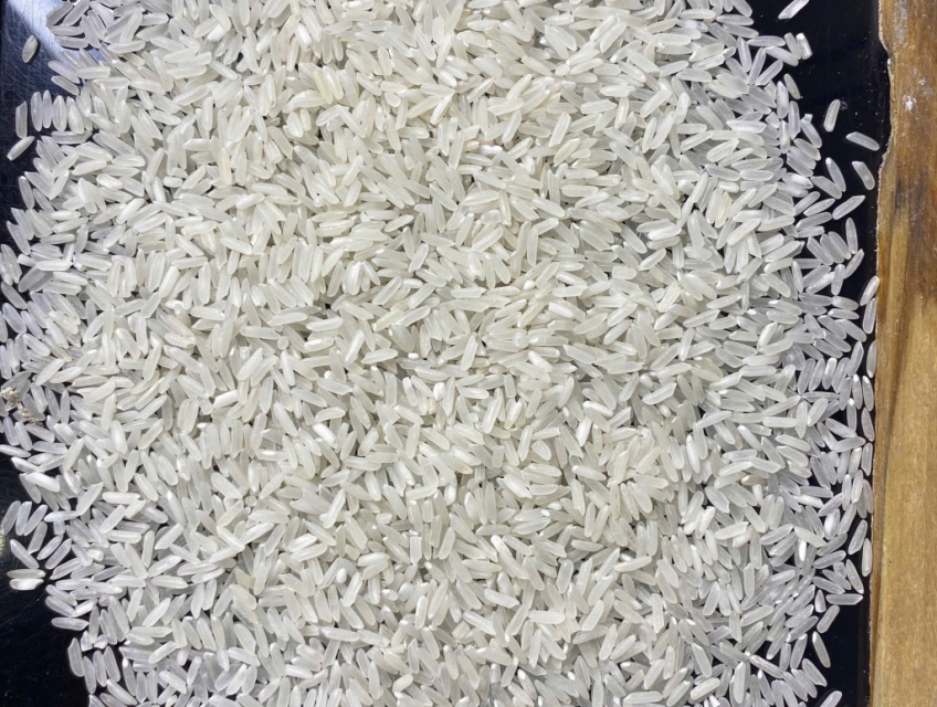 Gạo 555 380 - Gạo 5451 Sortex - Tâm Thành Phát