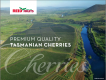 Cherry Tasmanian nổi tiếng trên toàn thế giới
