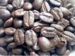 Arabica Cầu Đất cung cấp giá sỉ tốt nhất tại hồ chí minh