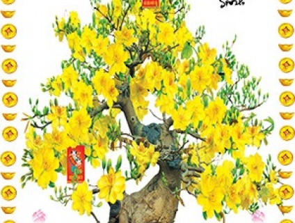 Tranh gạch 3d - cây mai vàng