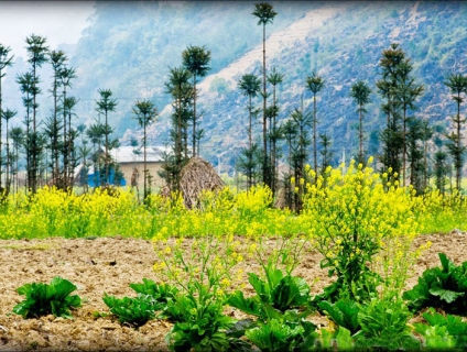 Hà Giang còn có gì hấp dẫn ngoài hoa tam giác mạch