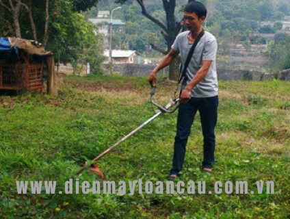 Máy cắt cỏ cầm tay Honda GX35