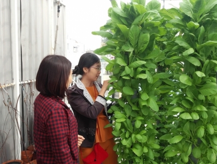 Cách có 378 chỗ trồng rau cho bạn công nhỏ