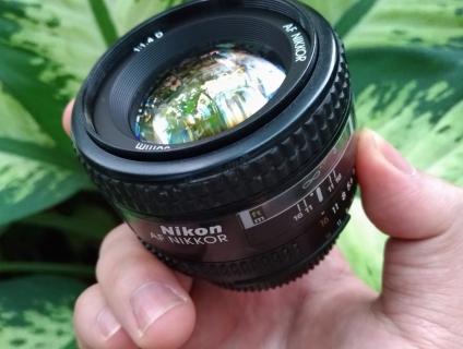 Cần Bán Nikon 50 1.4D