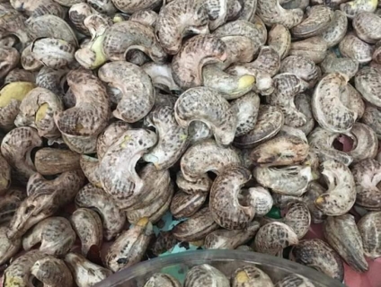 HẠT ĐIỀU RANG MUỐI ĐAKLAK ĐIỀU CHUẨN B