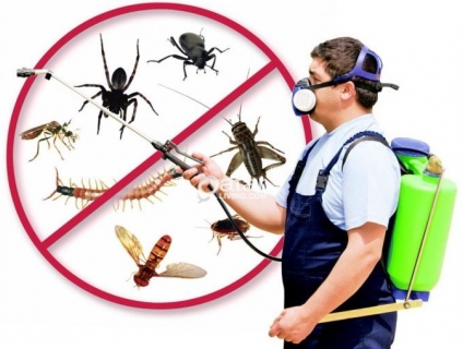 Diệt côn trùng tại bình dương