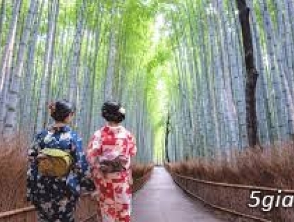 Tour Nhật Bản, tour Hoa Anh Đào, hoa Tử Đằng