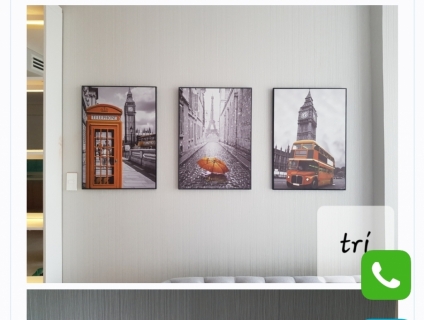 Mình cần tìm việc treo tranh ,thể loại nào cũng treo rồi