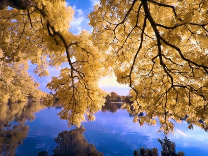 9 điểm cần lưu ý để chụp ảnh phong cảnh đẹp và sắc nét