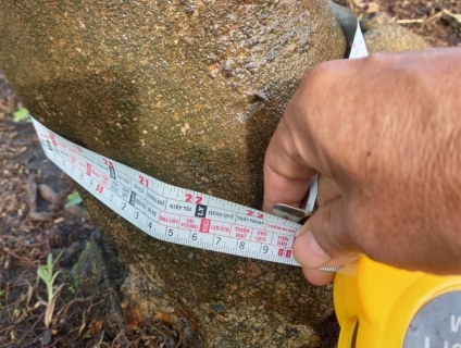 Hoành 60 - 3 vòng cực khủng - Cần tìm đại gia