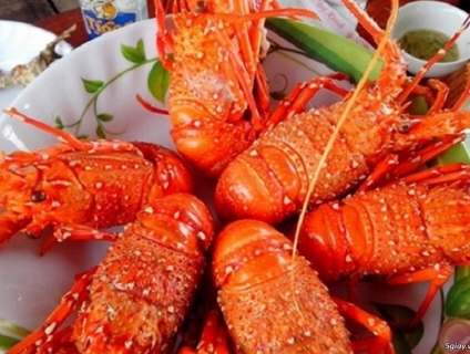 Tour Nha Trang – Bình Ba 3N3Đ Tết Dương Lịch 2021