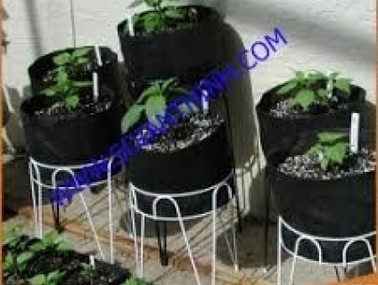 SẢN XUẤT VẢI NỈ , XĂM KIM, FELT MAY TÚI TRỒNG CÂY