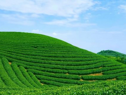 NHỮNG ĐỊA ĐIỂM DU LỊCH MỘC CHÂU