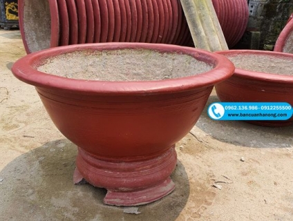 Chậu xi măng tròn giá bao nhiêu?