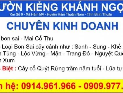 [TOÀN QUỐC] Vườn Kiểng Khánh Ngọc - Chuyên kinh doanh cây cảnh