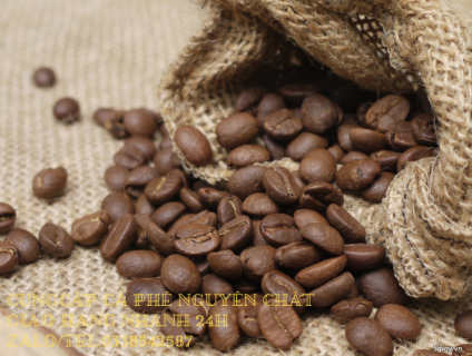 Cung cấp cà phê rang mộc nguyên chất tại tp hcm