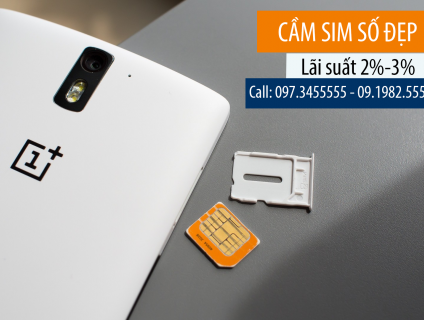 Thu mua sim cũ số đẹp 10 số, 11 số