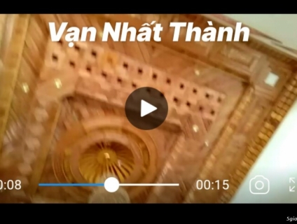 trần gỗ tự nhiên