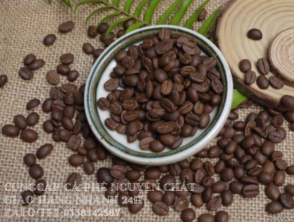 Cà phê hạt rang xay giá sỉ ổn định tại Bình Dương
