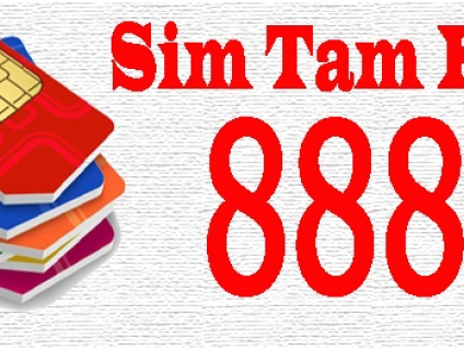 Cầm sim tam hoa lãi suất thấp – trả giá cao